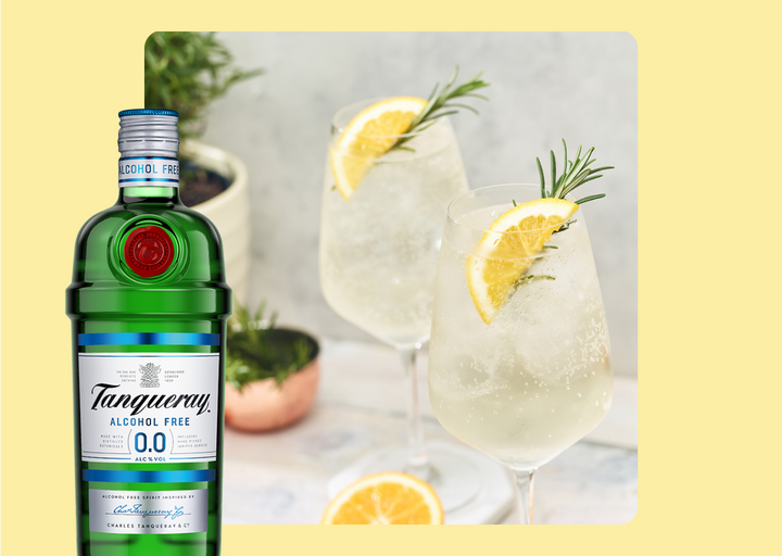 Tanqueray Alcohol Free G&T